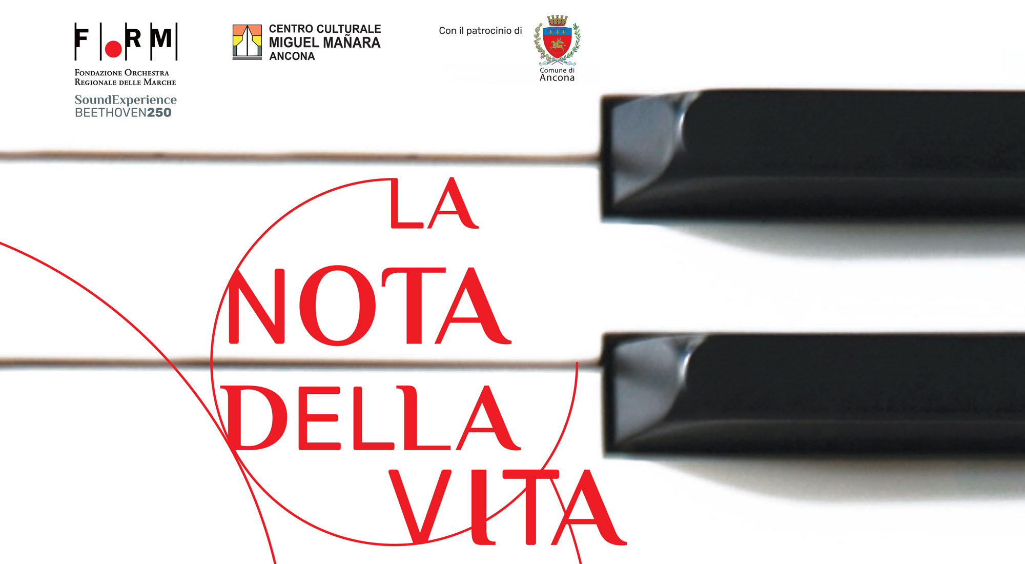 LA NOTA DELLA VITA
Giussani, La musica, Beethoven